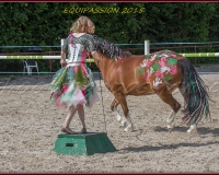 1-13JUIN 0850